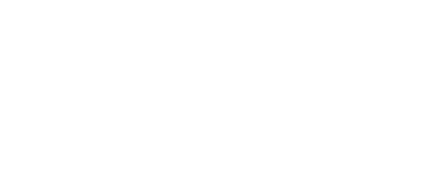 Amigos